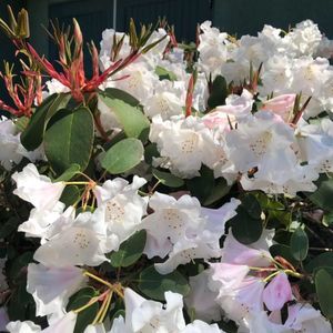 Meet your Posher, Khanh